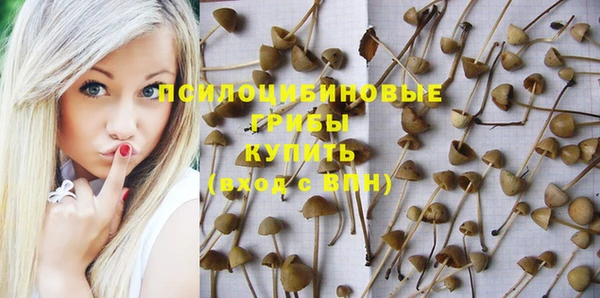 СК Калининец