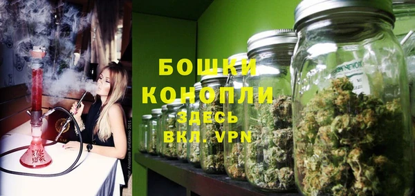 спиды Фёдоровский