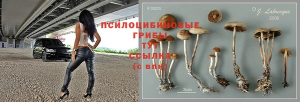 таблы Аркадак