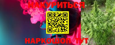 гашик Берёзовский