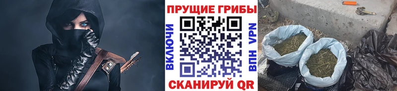 Псилоцибиновые грибы GOLDEN TEACHER  Коломна 