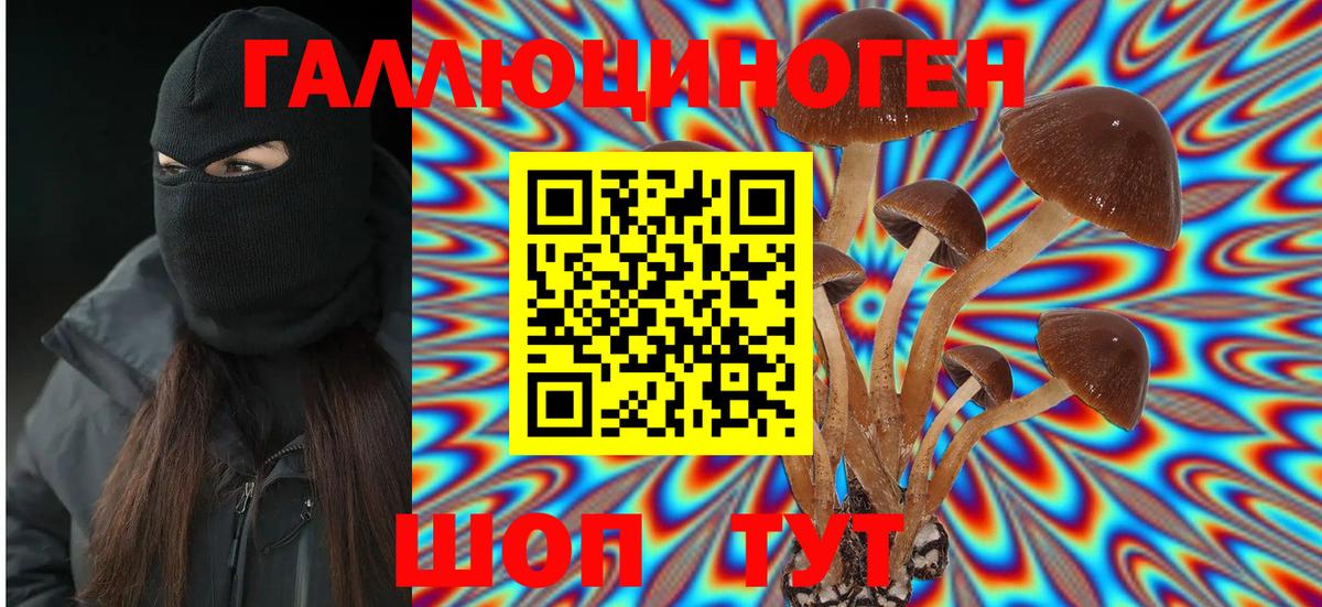 Псилоцибиновые грибы GOLDEN TEACHER Коломна