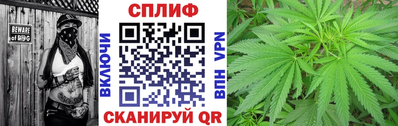 hydra ONION  купить наркоту  Коломна  Марихуана THC 21% 